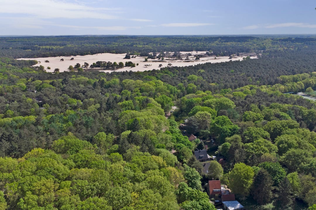 Foto 46 van den Blieklaan 41