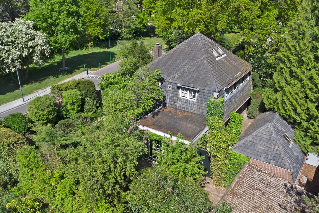 Foto 47 van den Blieklaan 41