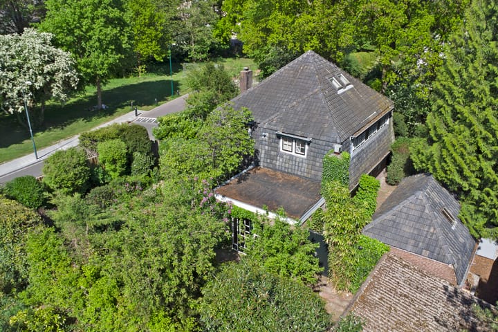 Foto 47 van den Blieklaan 41