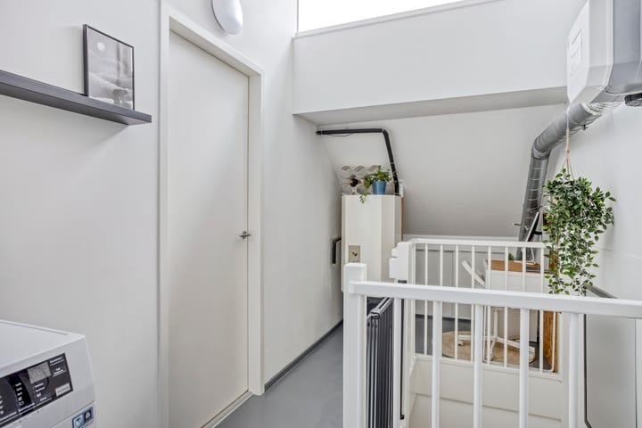 Foto 36 van Steppevlinder 26