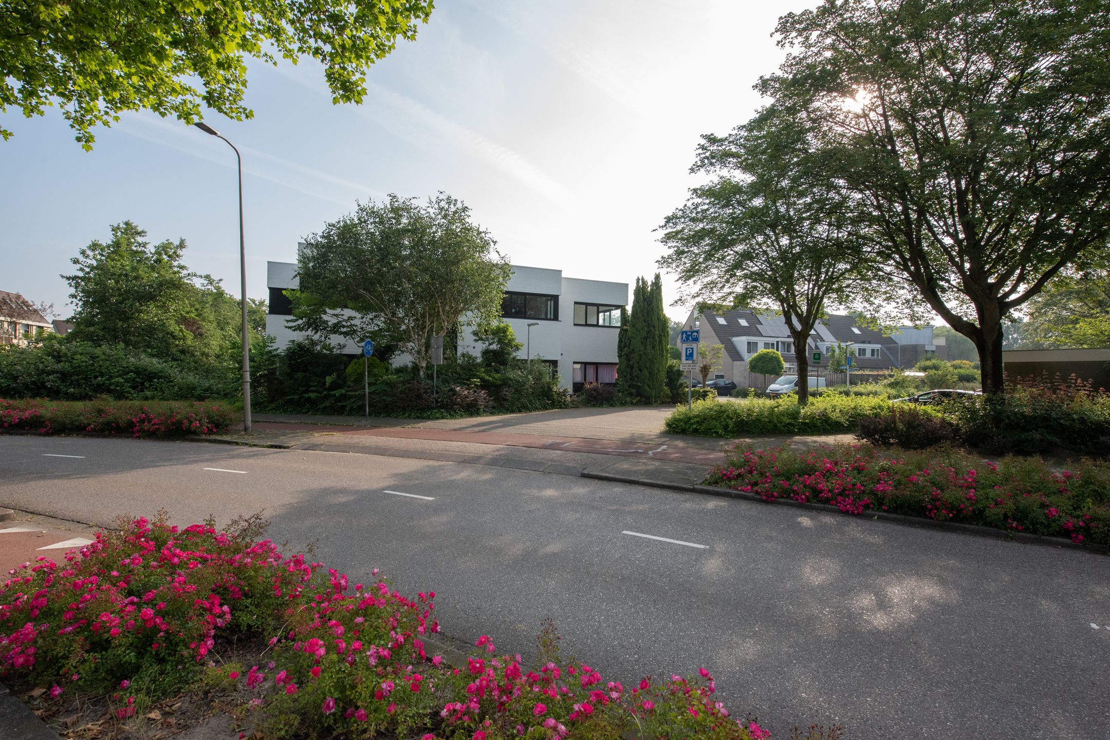 Foto 24 van Standaardmolen 1-J