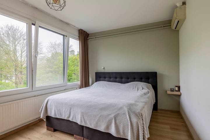 Foto 23 van Bolkruid 171