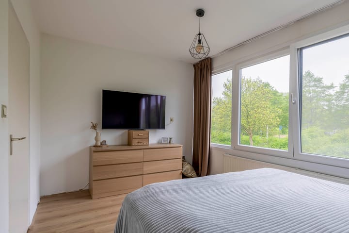 Foto 24 van Bolkruid 171