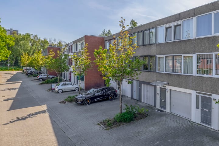 Foto 39 van Bolkruid 171