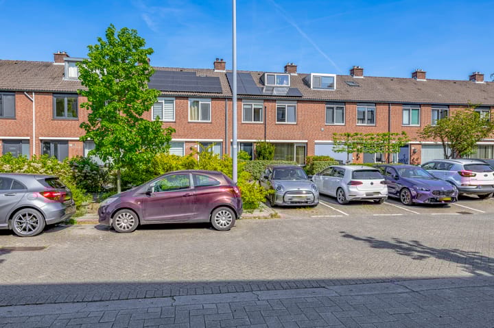 Foto 40 van Bolkruid 171