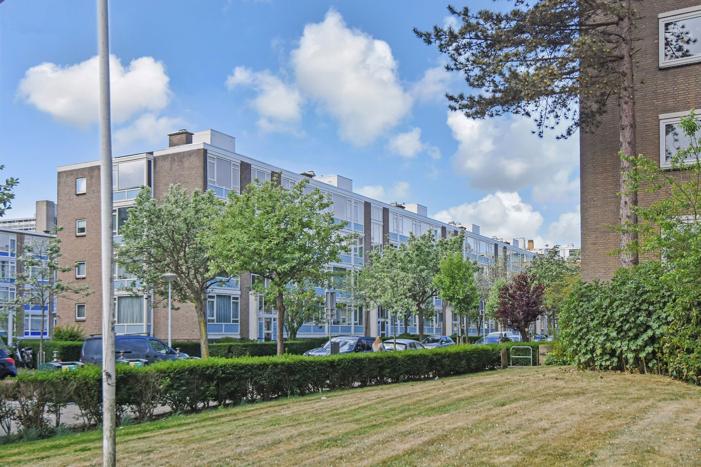 Foto 35 van Willem Pijperstraat 196