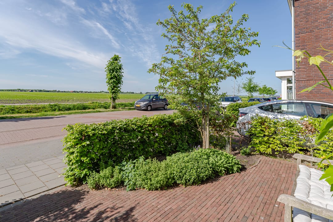 Foto 2 van Wilgenroos 29