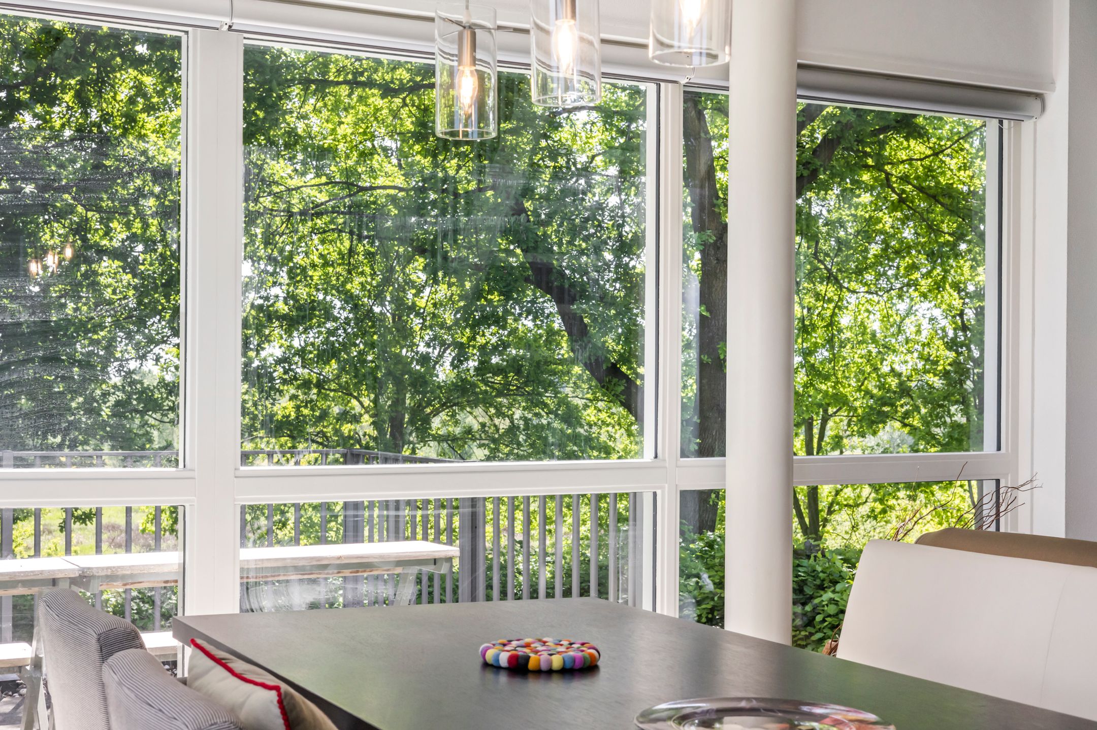 Photo 12 of Schelling 20