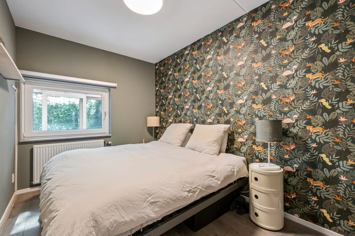 Foto 20 van Schelling 20