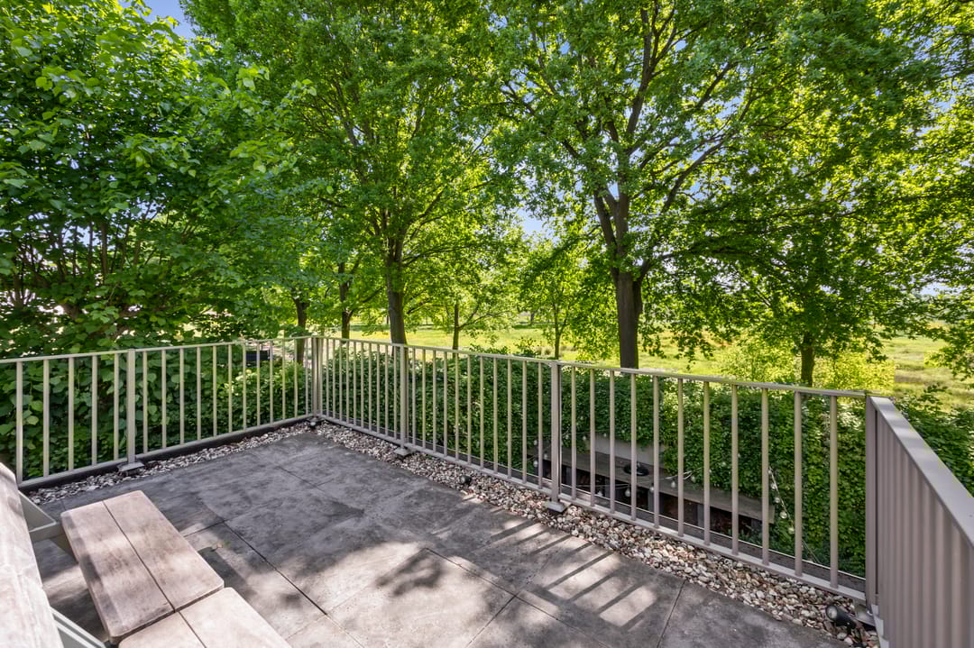 Photo 31 of Schelling 20