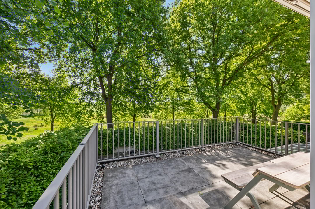 Photo 32 of Schelling 20