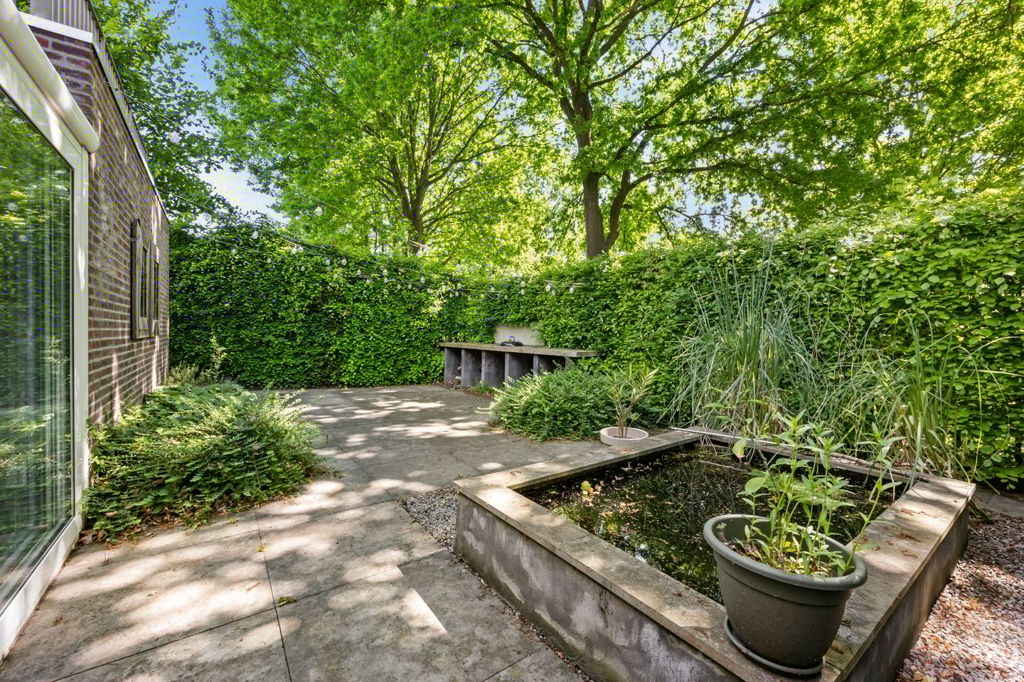 Photo 35 of Schelling 20