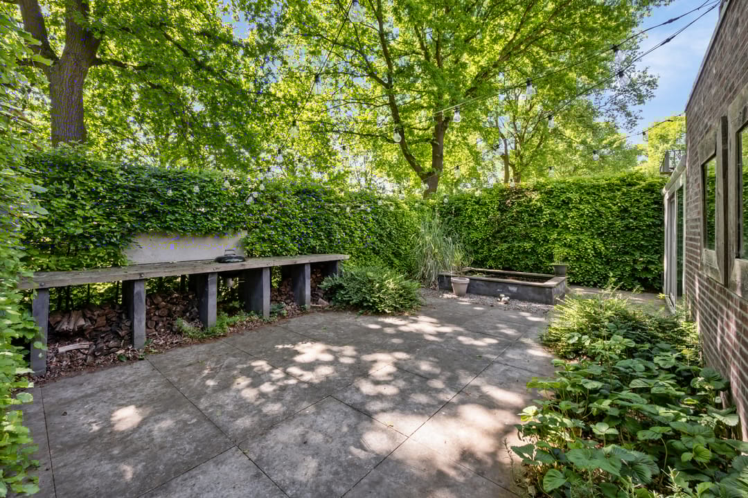 Photo 37 of Schelling 20