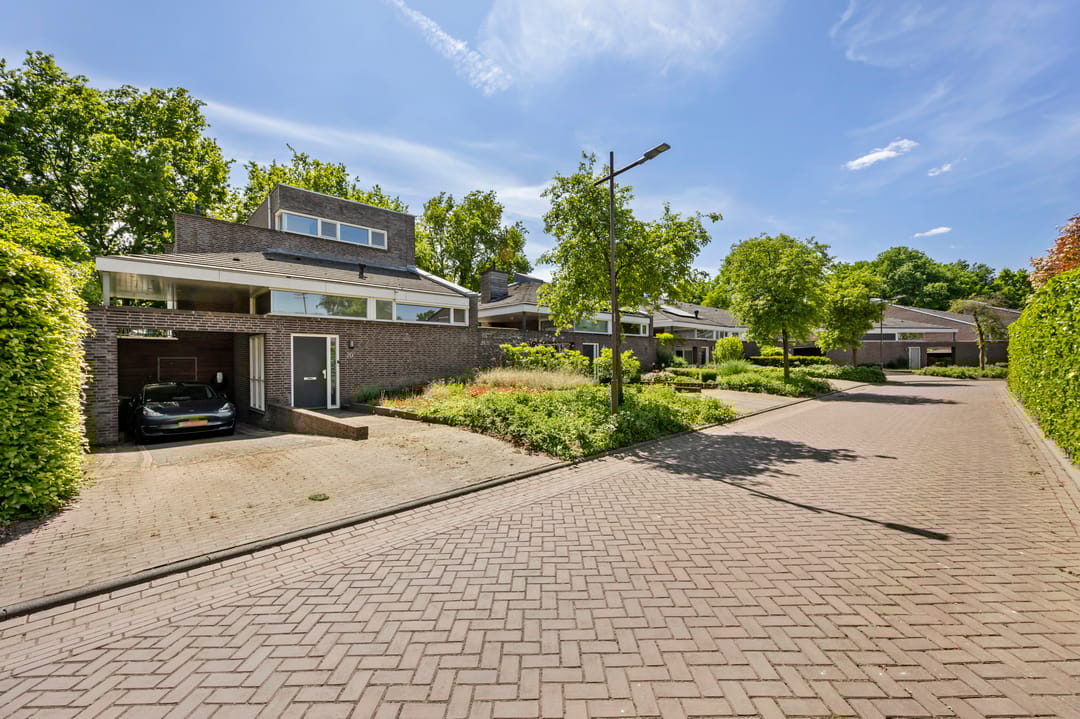 Photo 43 of Schelling 20