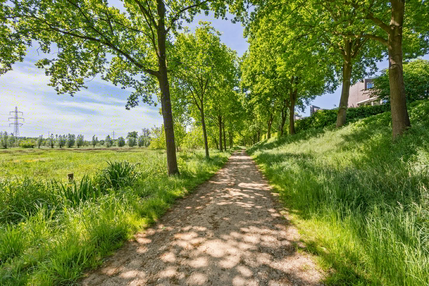 Photo 44 of Schelling 20