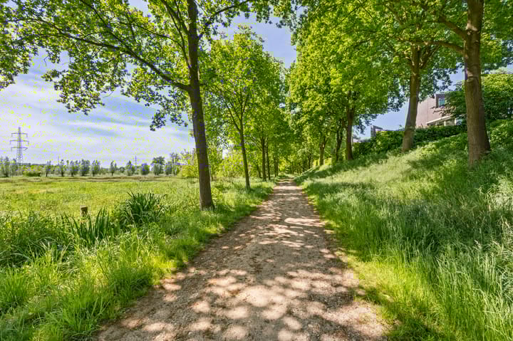 Foto 44 van Schelling 20