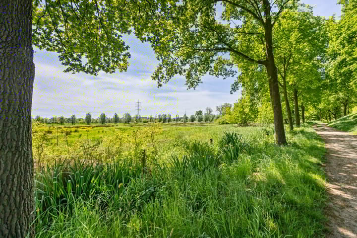 Foto 45 van Schelling 20