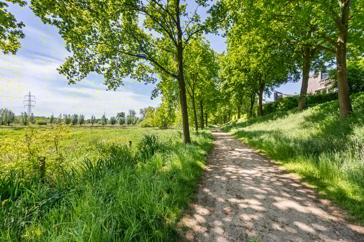 Foto 46 van Schelling 20