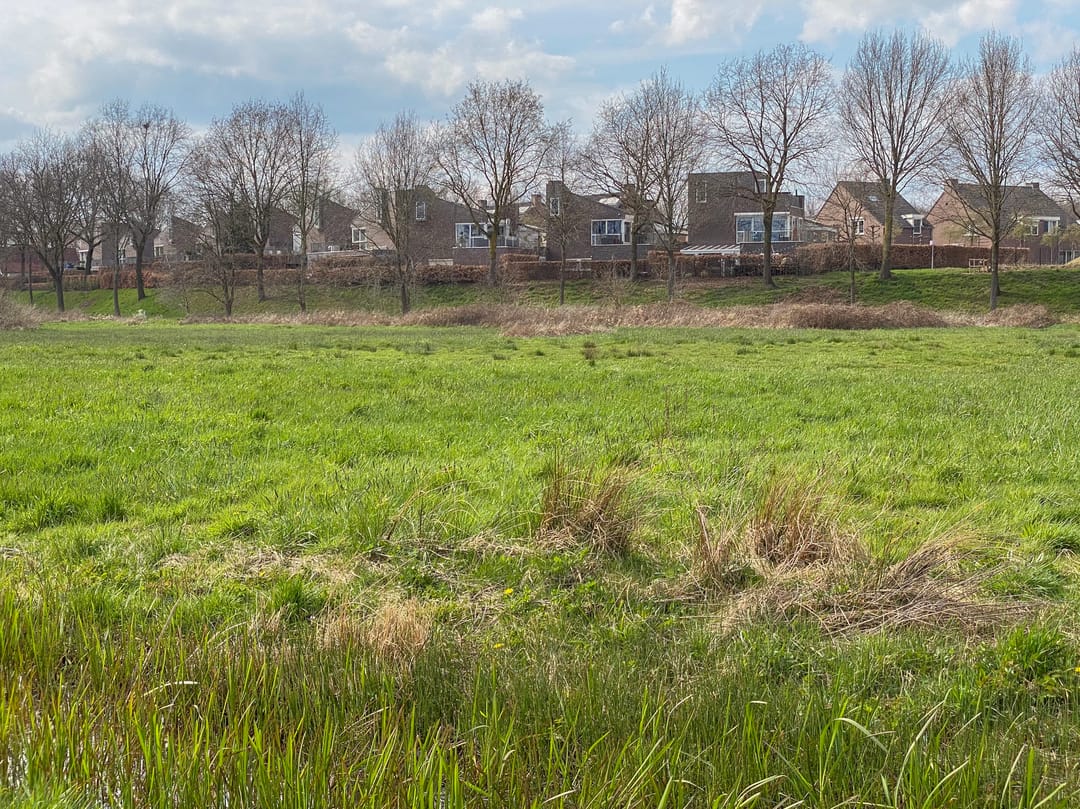 Photo 47 of Schelling 20