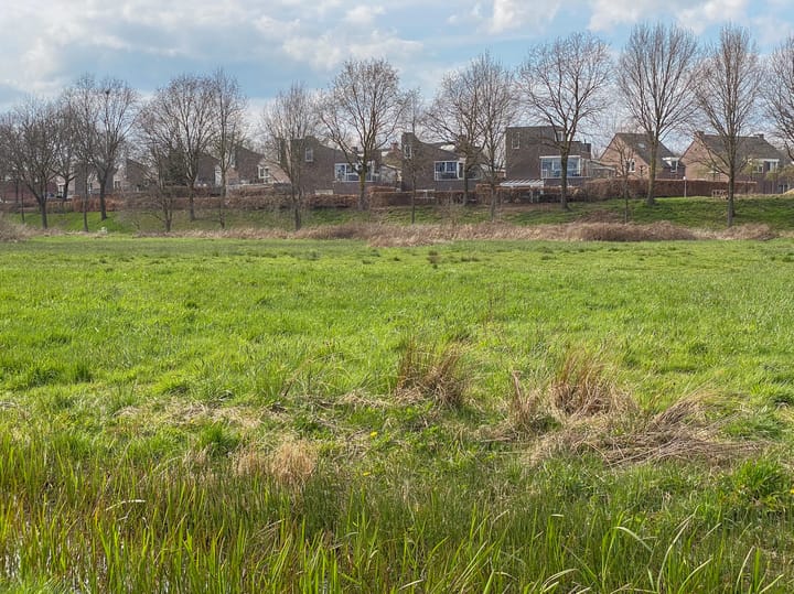 Foto 47 van Schelling 20