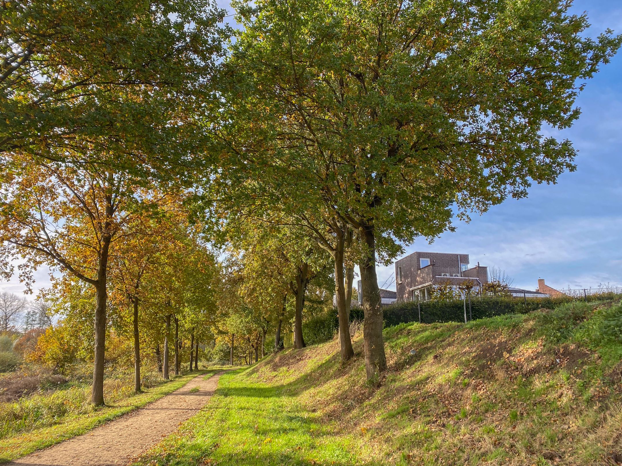 Photo 48 of Schelling 20