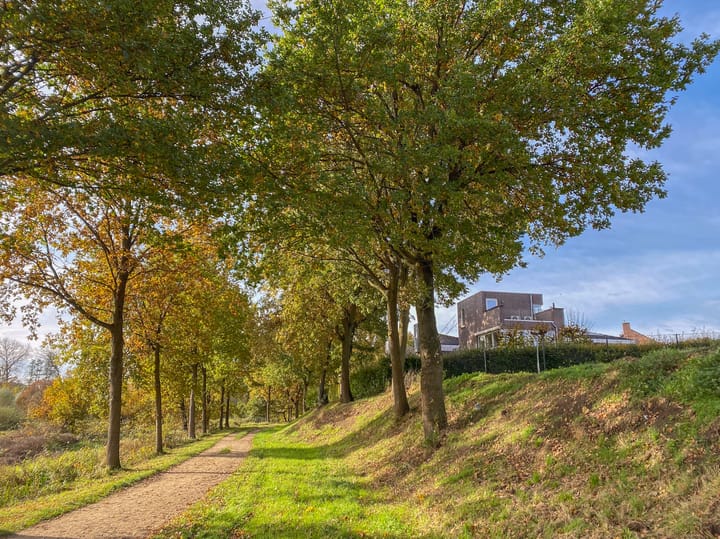 Foto 48 van Schelling 20