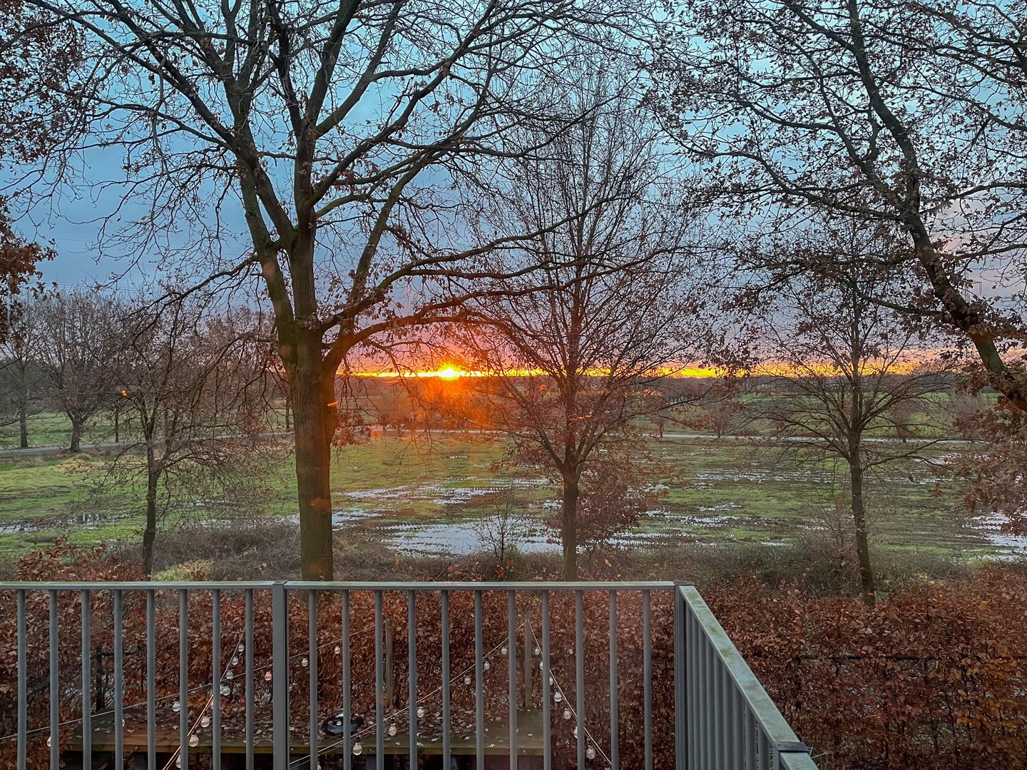 Photo 49 of Schelling 20