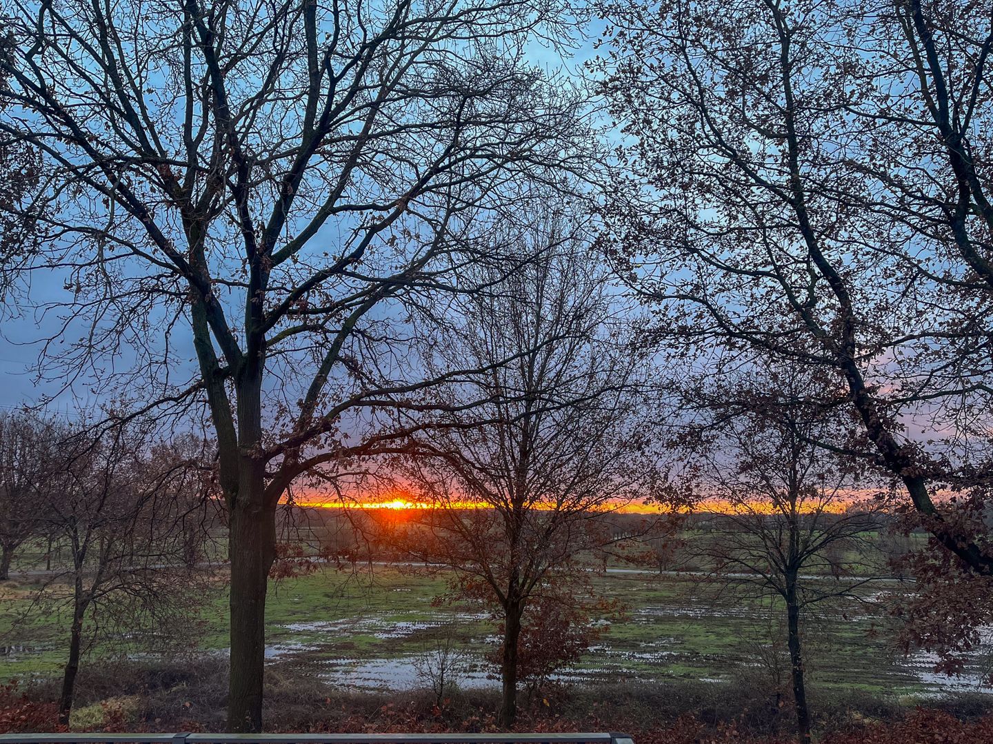 Photo 50 of Schelling 20