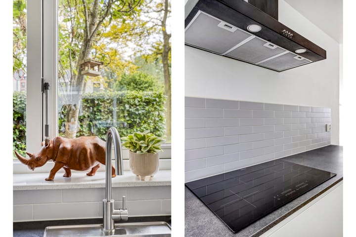 Foto 19 van Steppevlinder 26