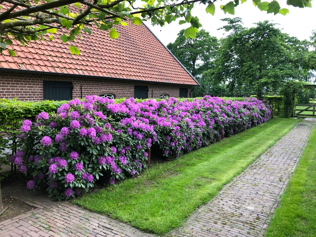 Foto 73 van Postweg 133