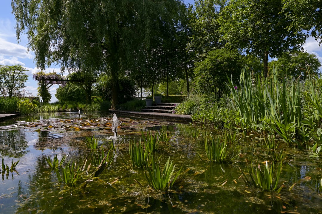 Foto 76 van Postweg 133