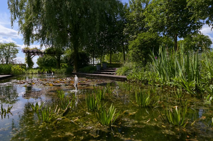 Foto 76 van Postweg 133