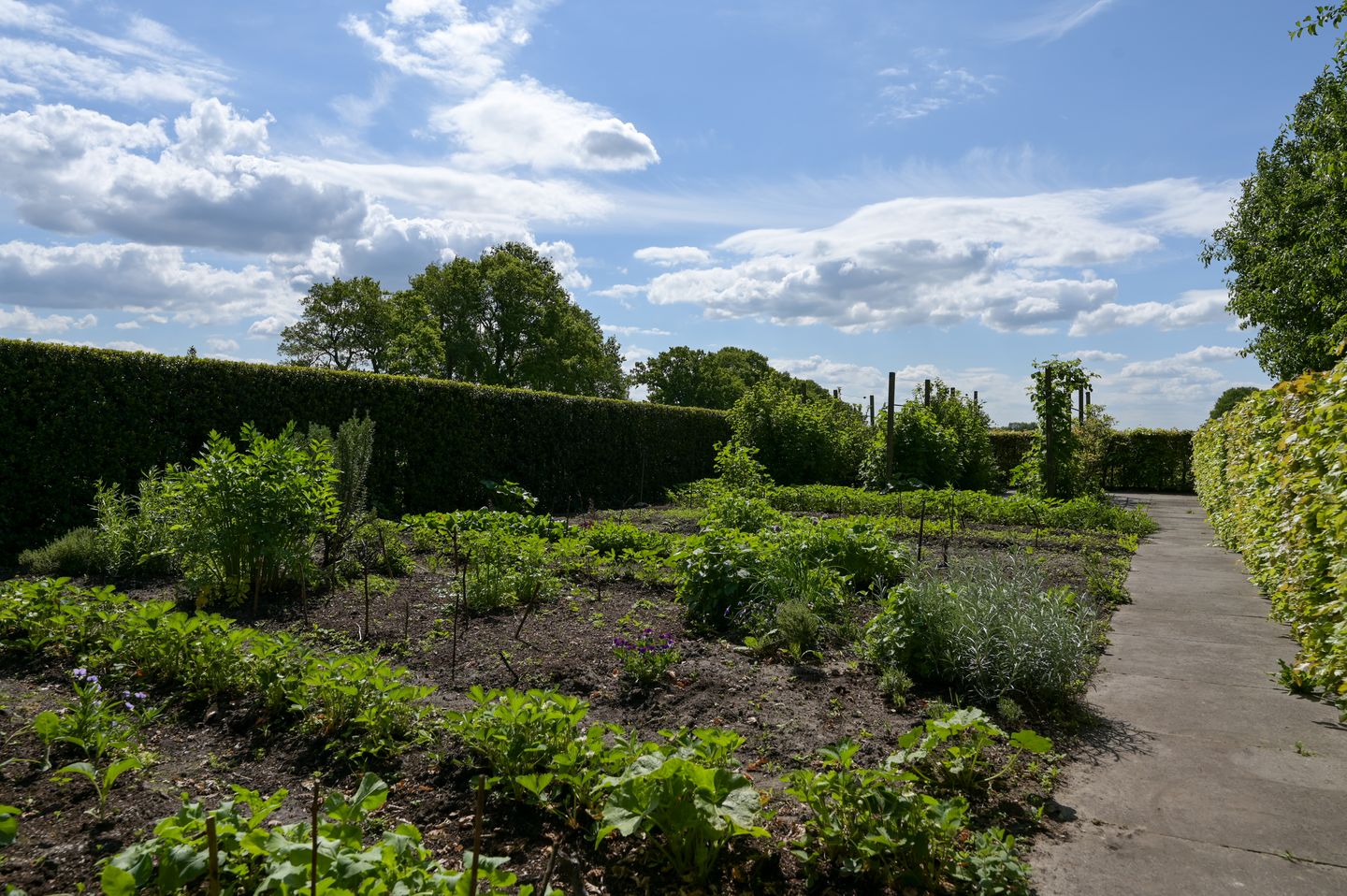 Foto 80 van Postweg 133