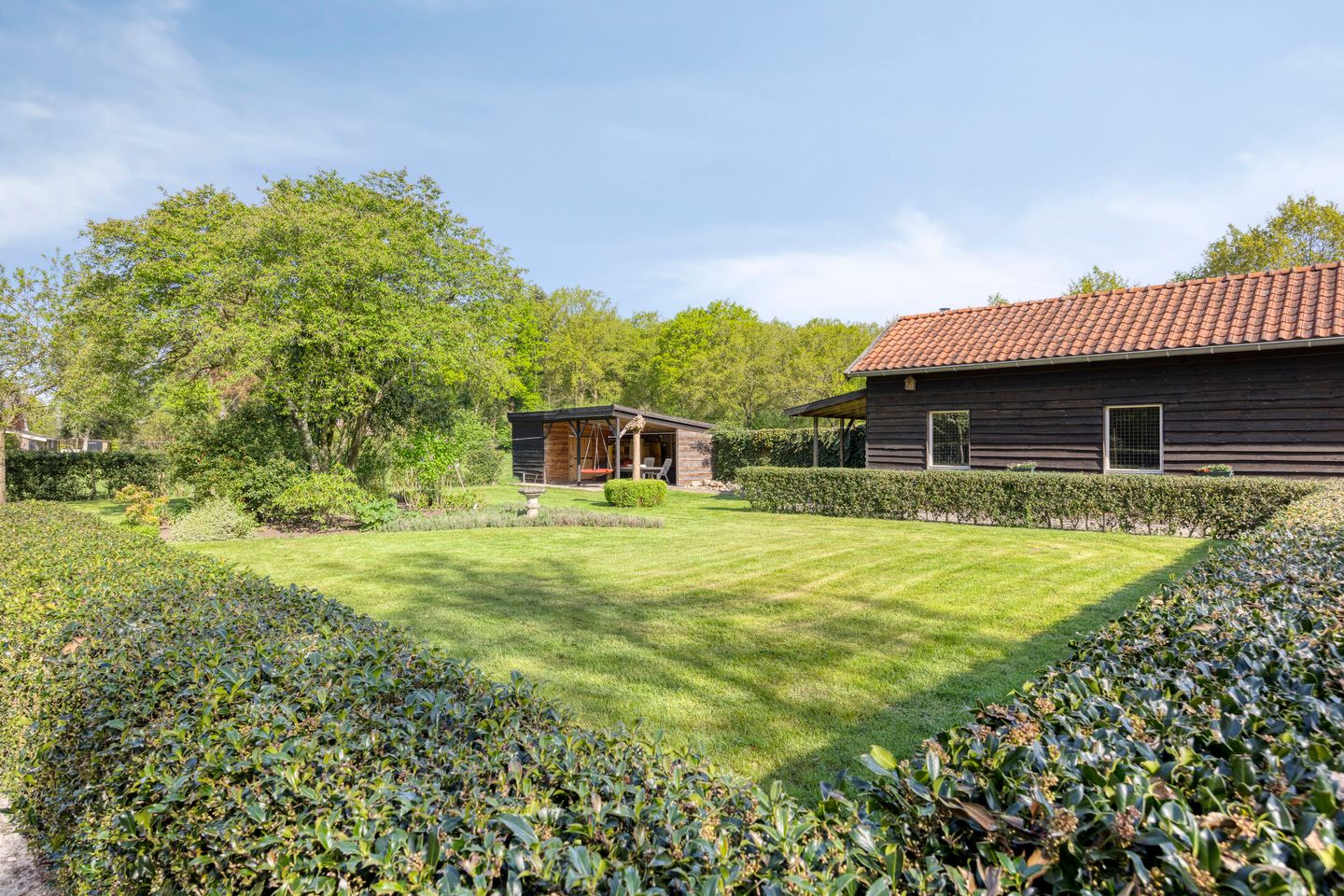 Foto 5 van Ten Darperweg 4