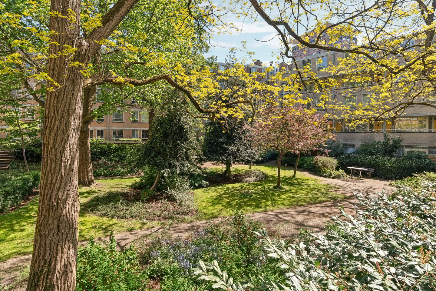 Foto 25 van Ferdinand Bolstraat 215