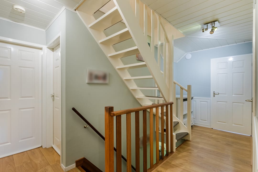 Foto 31 van Meerkoet 33