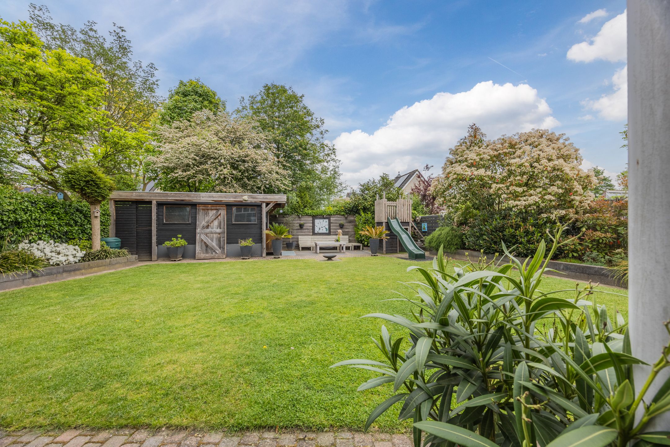 Foto 48 van Meerkoet 33