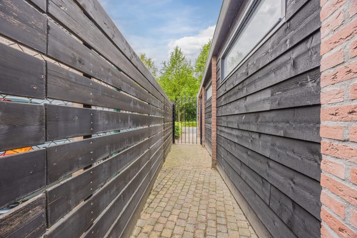 Foto 57 van Meerkoet 33