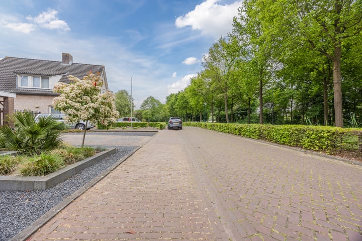 Foto 62 van Meerkoet 33