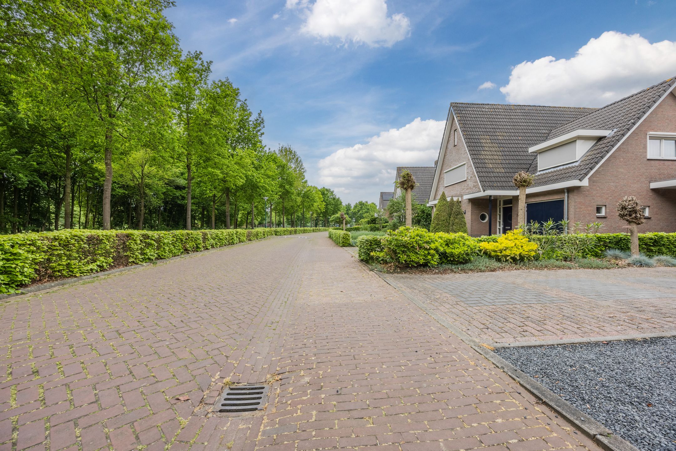 Foto 63 van Meerkoet 33