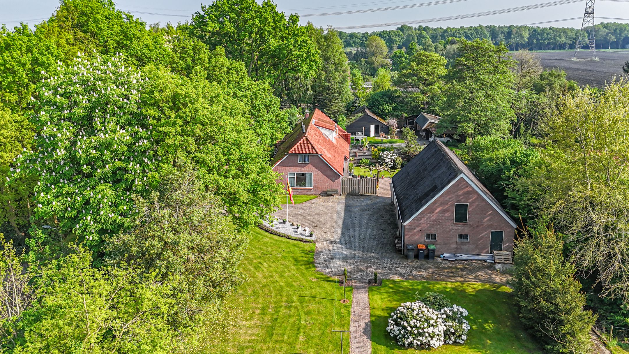 Foto 3 van Burgemeester de Goedestraat 14