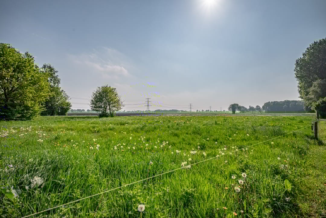 Foto 38 van Burgemeester de Goedestraat 14