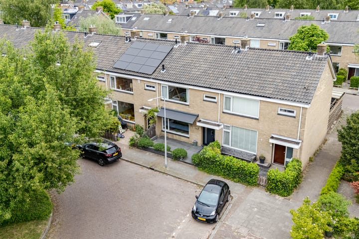 Foto 5 van Callenburghplantsoen 8