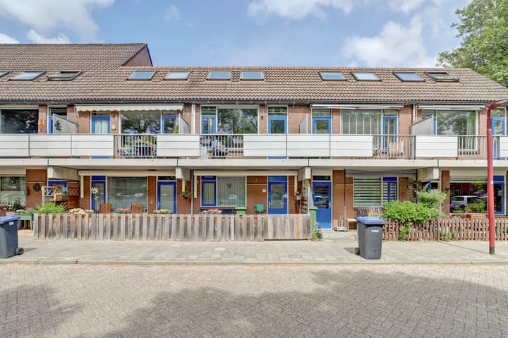 Goudfazant 6