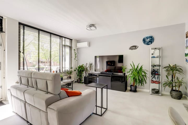 Foto 6 van Goudfazant 6