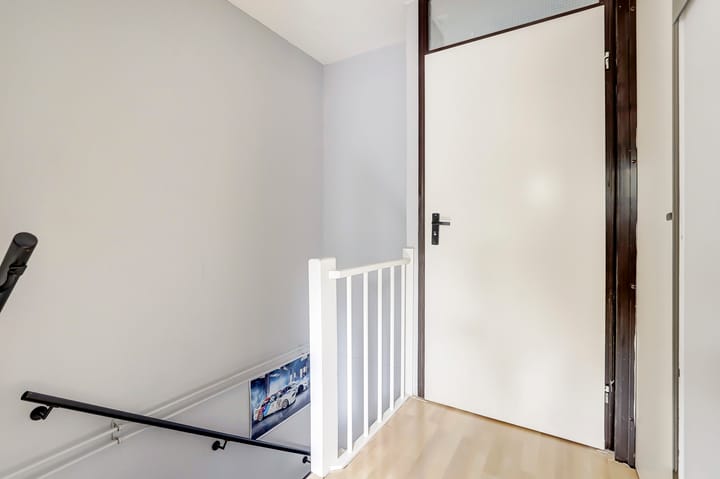 Foto 13 van Goudfazant 6