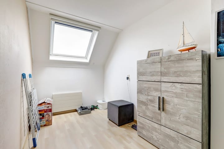 Foto 15 van Goudfazant 6