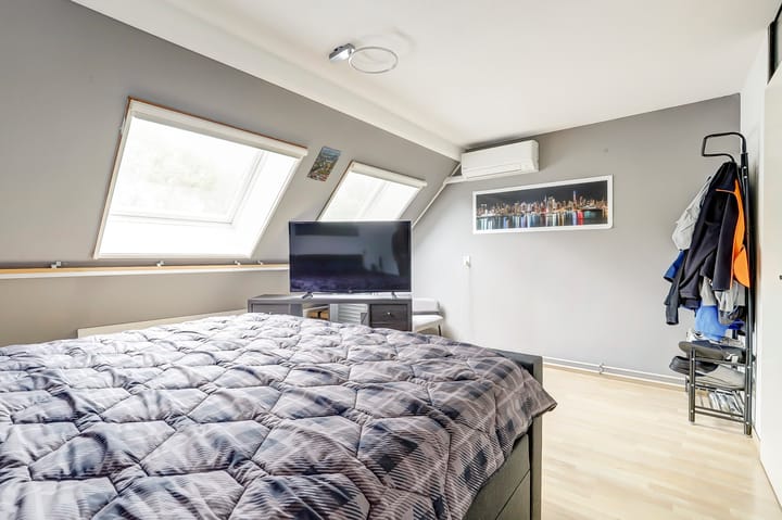 Foto 16 van Goudfazant 6