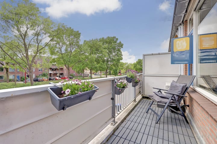 Foto 19 van Goudfazant 6