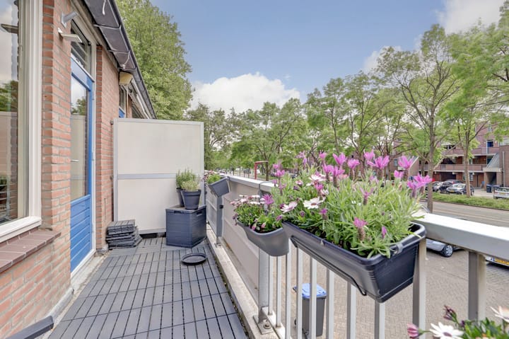 Foto 20 van Goudfazant 6